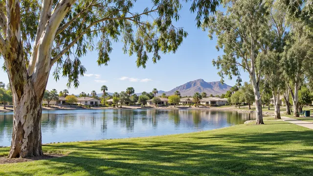 Large city park with a lake, green grass and tall eucalyptus trees, single-story ranch homes visible beyond, Tempe Arizona